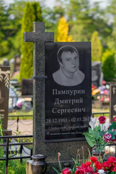 Фигурный Пегас 499